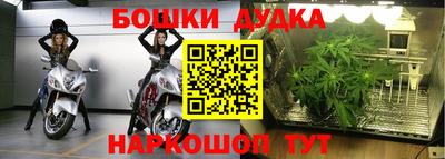 прущая мука Лесосибирск