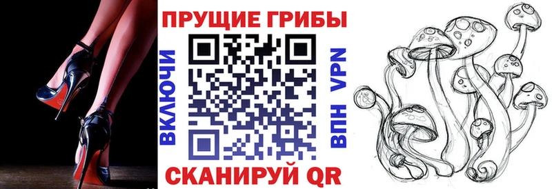 купить цена Еманжелинск Галлюциногенные грибы прущие грибы