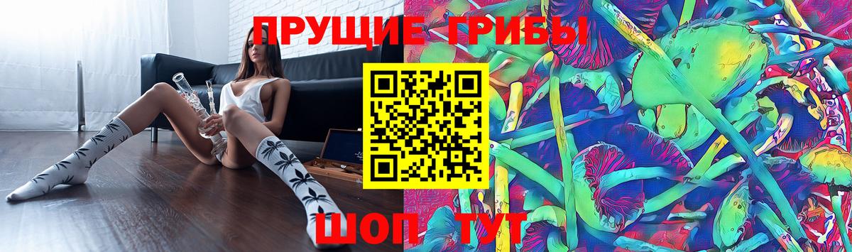 Псилоцибиновые грибы Cubensis  Вход с VPN  Еманжелинск 
